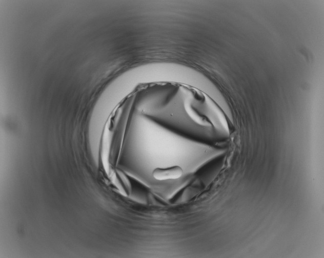 X0000113540264200910161418