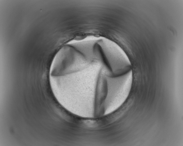 X0000113540265200910161418
