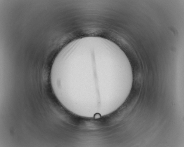 X0000113540268200910161418