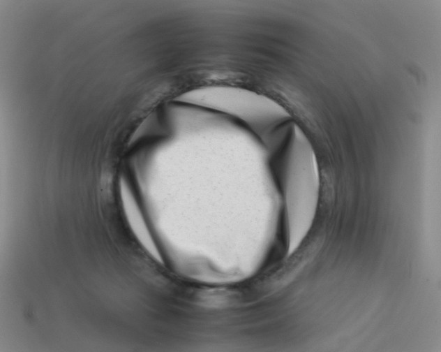 X0000113540269200910161418
