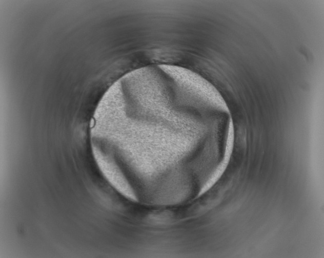 X0000113540271200910161418