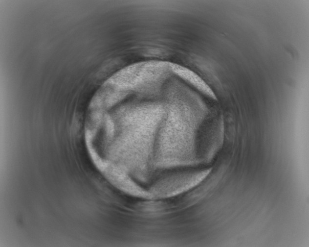X0000113540273200910161418