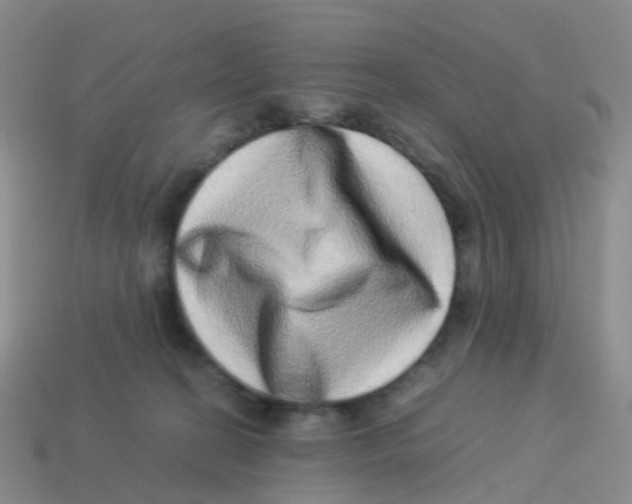 X0000113540274200910161418