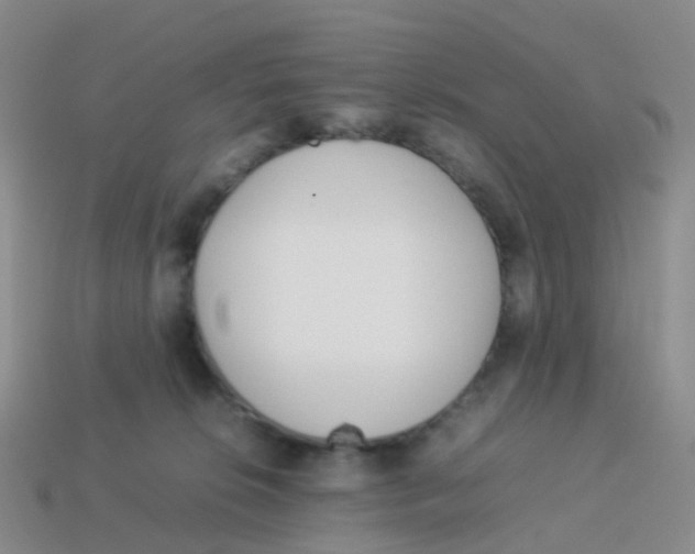 X0000113540276200910161418