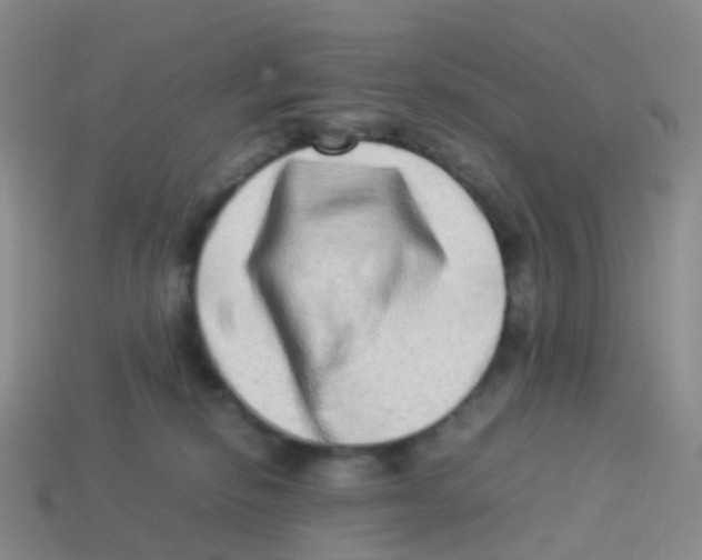 X0000113540278200910161418