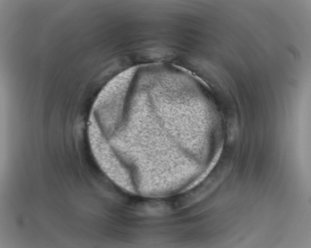 X0000113540279200910161418