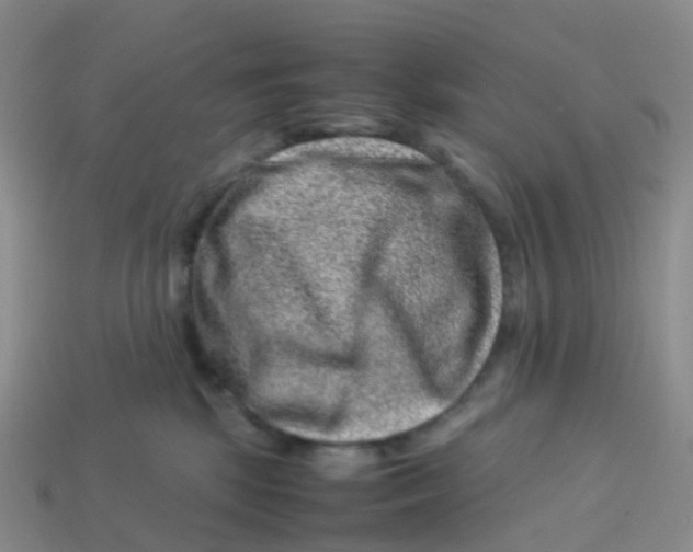 X0000113540281200910161418