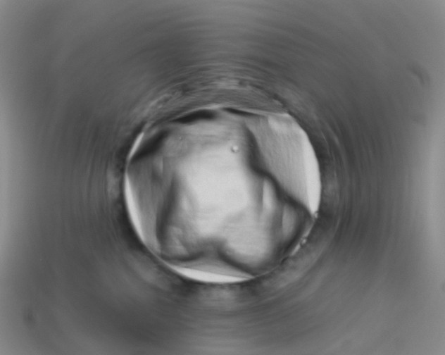 X0000113540282200910161418