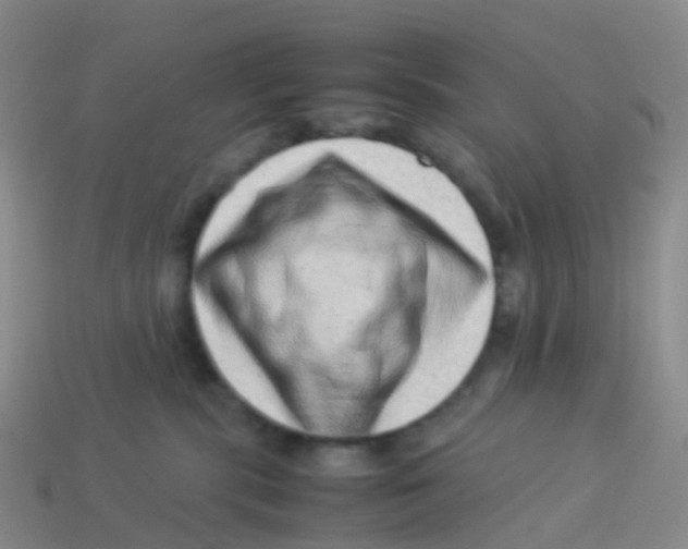 X0000113540283200910161418