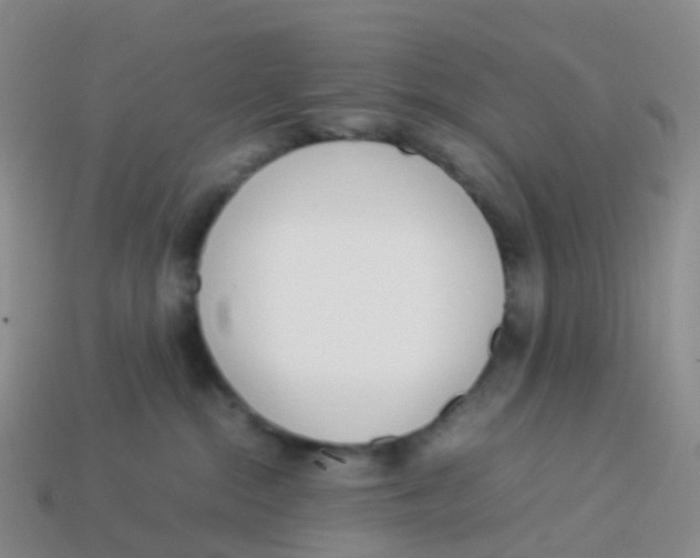 X0000113540284200910161418