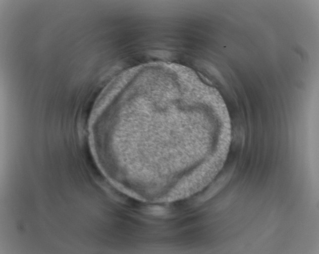 X0000113540285200910161418