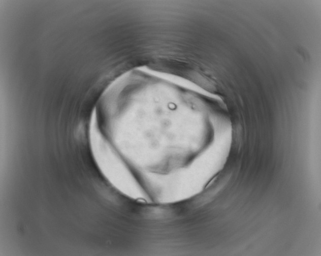 X0000113540286200910161418