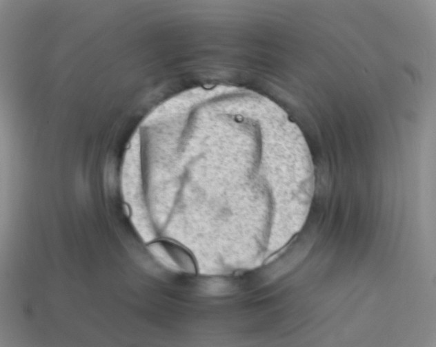 X0000113540287200910161418