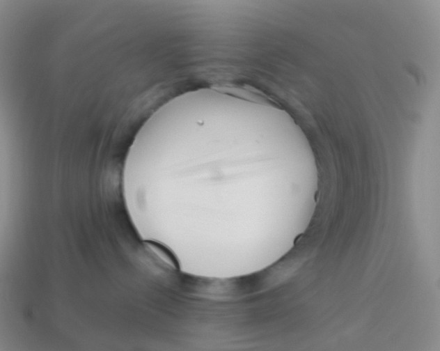 X0000113540288200910161418