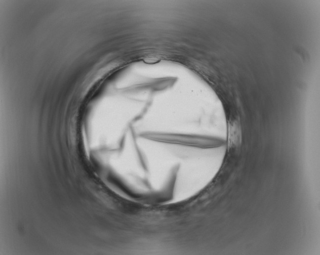 X0000113540291200910161418