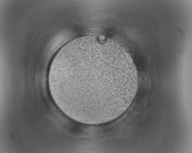 X0000113540293200910161418