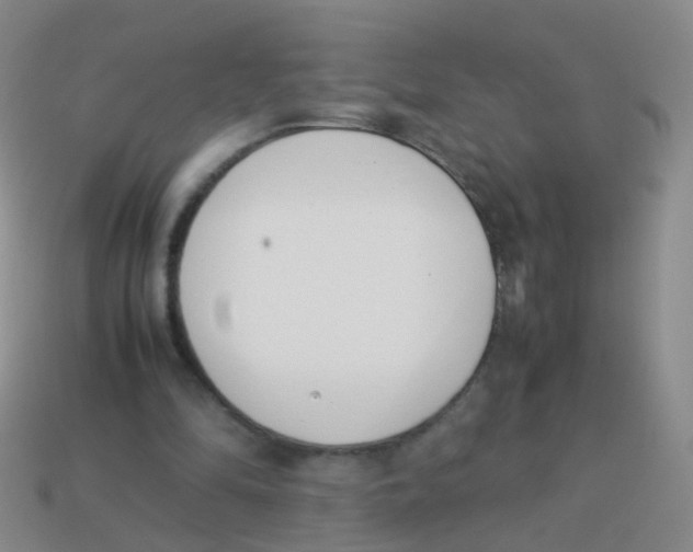X0000113540294200910161418