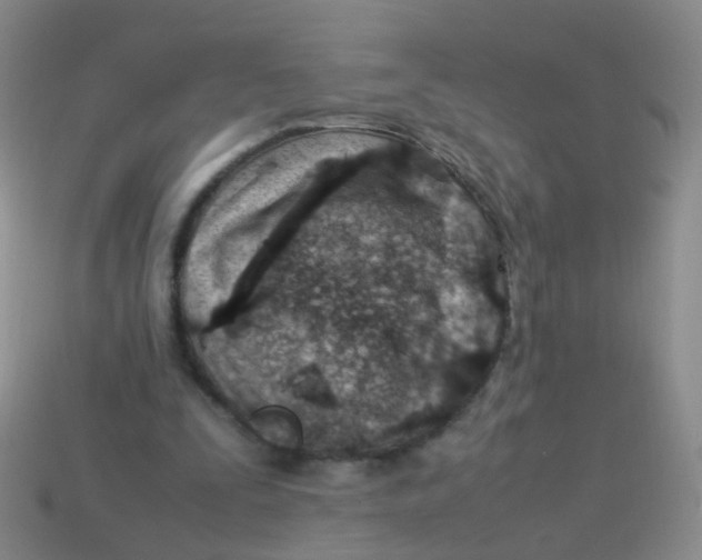 X0000113540295200910161418