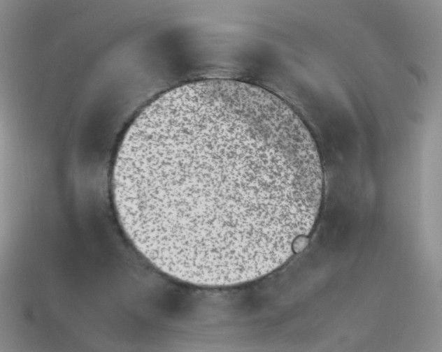 X0000113540297200910161418