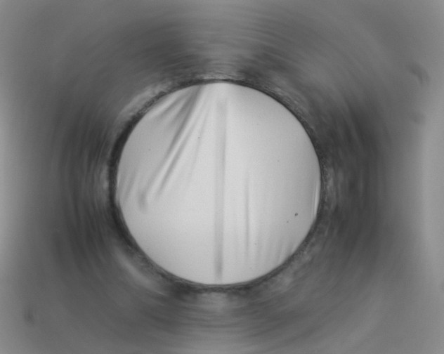 X0000113540298200910161418