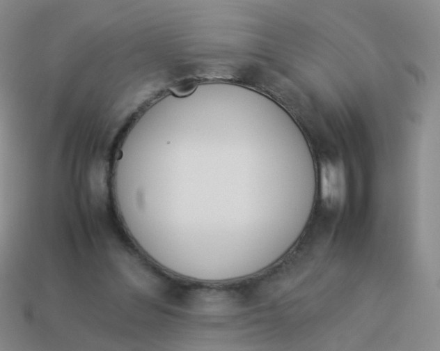 X0000113540300200910161418