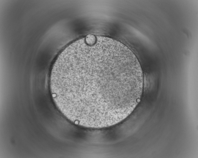 X0000113540301200910161418
