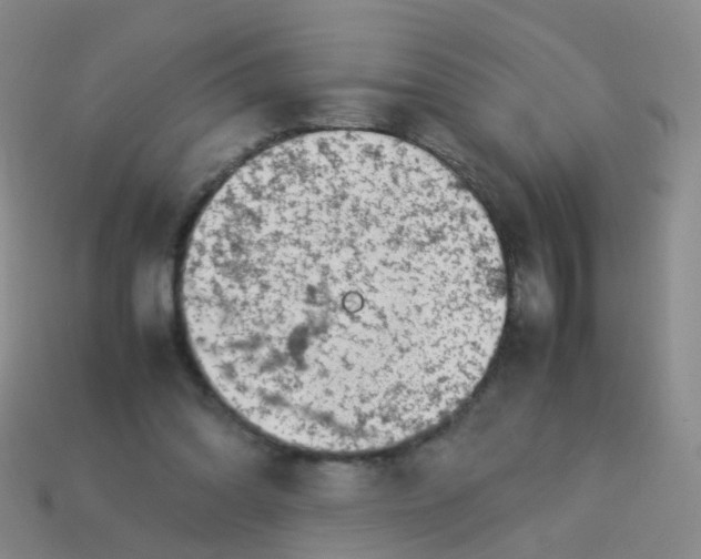 X0000113540302200910161418