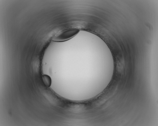 X0000113540304200910161418