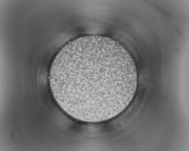 X0000113540305200910161418