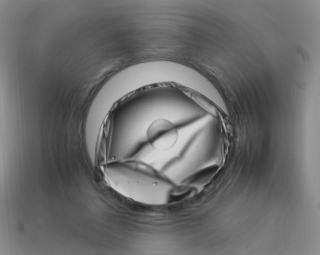 X0000113540308200910161418