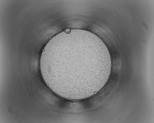 X0000113540309200910161418