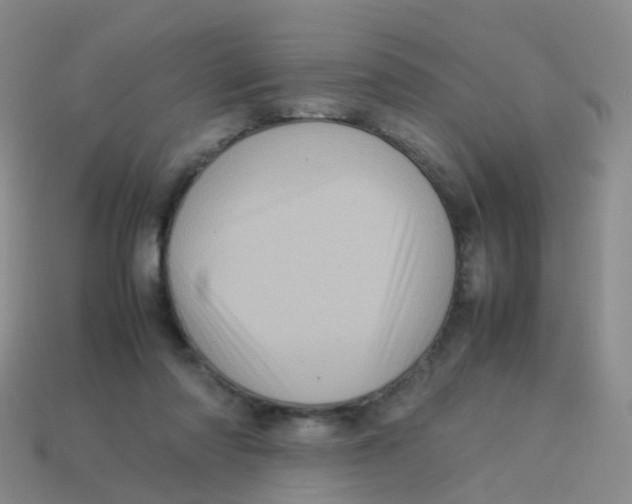 X0000113540310200910161418