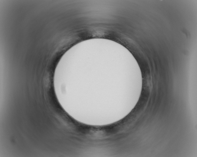 X0000113540311200910161418