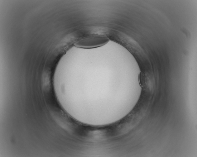 X0000113540312200910161417