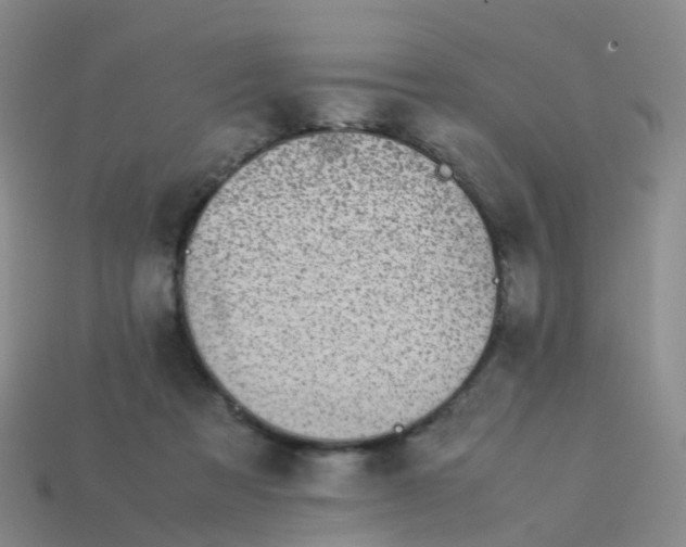 X0000113540313200910161417