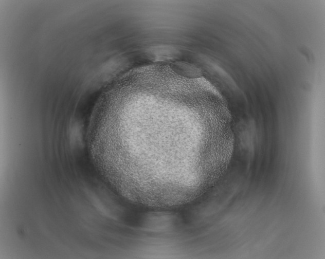 X0000113540316200910161417