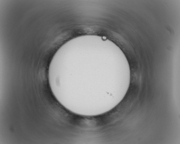 X0000113540317200910161417