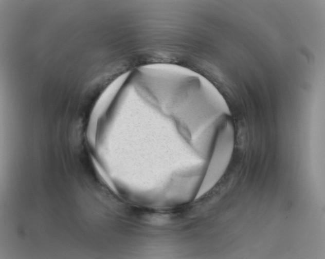 X0000113540318200910161417