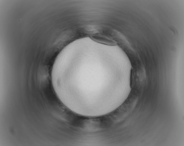 X0000113540320200910161417