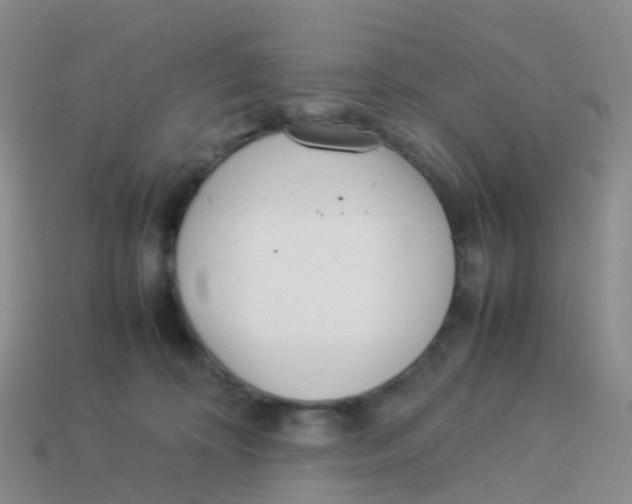 X0000113540324200910161417