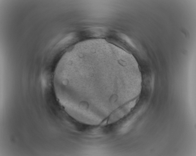 X0000113540325200910161417
