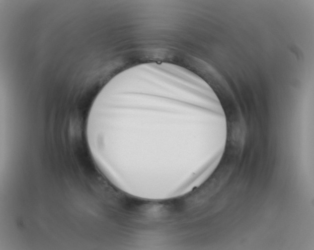 X0000113540326200910161417