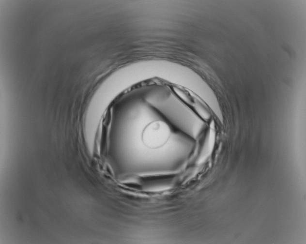 X0000113540329200910161417