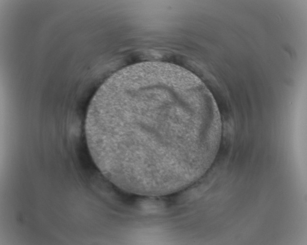 X0000113540331200910161417