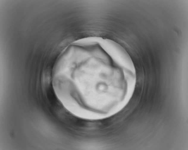 X0000113540334200910161417
