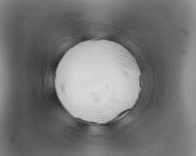 X0000113540336200910161417