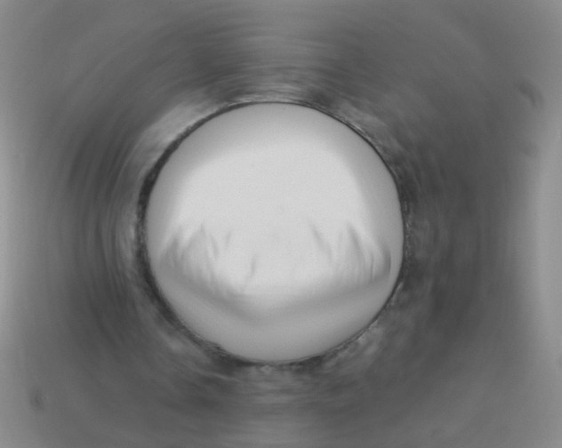 X0000113540338200910161417