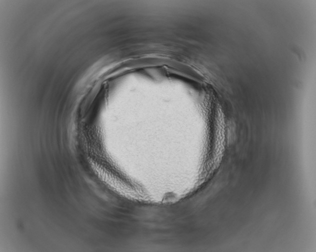 X0000113540339200910161417