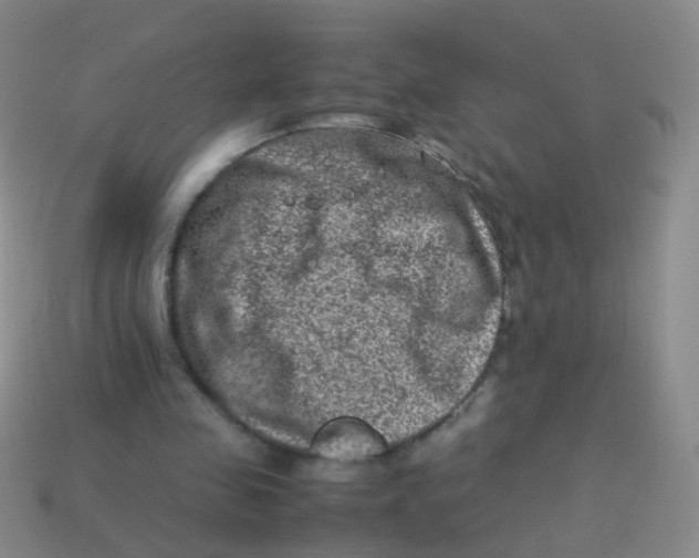 X0000113540341200910161417