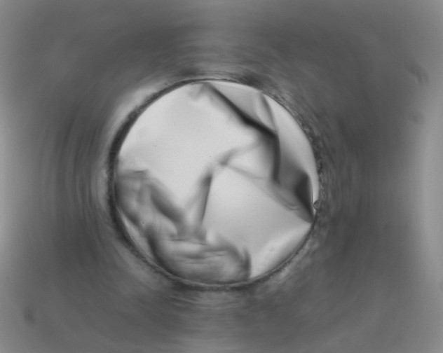 X0000113540342200910161417